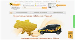 Desktop Screenshot of medok.com